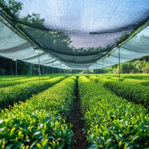 บดละเอียดด้วยหินโบราณ ฟองโฟมเนียน เข้มแต่ไม่ขม เหมาะทำเมนูซิกเนเจอร์